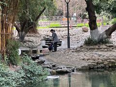 -成都市活水公园