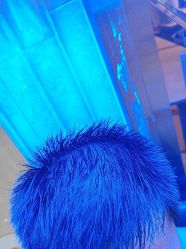 -碧莲盛·不剃发植发