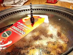 -山河屯铁锅炖鲜鹅·东北菜(开发区一店)