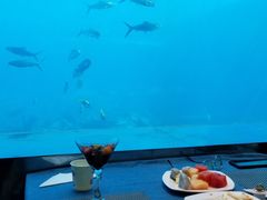 -瑞德姆美人鱼海底演艺主题餐厅(亚龙湾店)