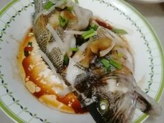 -天鹅到家·保姆月嫂育儿嫂(南开店)