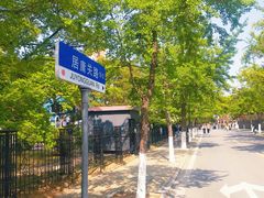 -八大关景区