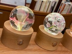 -二酉书店TOYOU BOOKS