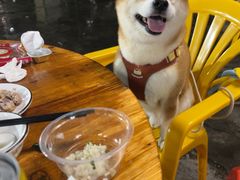 -新湖烧鸡(光明店)