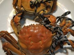 -九月海·海鲜自助(世纪东方店)