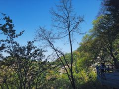 -少华山国家森林公园