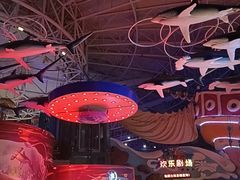-烟台海昌鲸鲨海洋公园