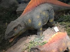 -湖南省地质博物馆