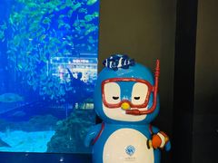 -成都浩海立方海洋公园