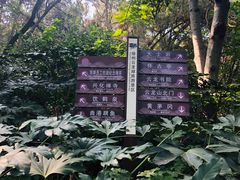 -云龙山