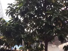-摩登百货(岗顶店)