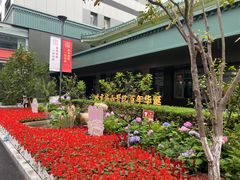 -北京协和医院(东单院区)