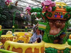 游乐设施-南宫五洲植物乐园