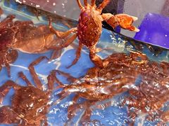 -二钳洞庭虾蟹·江湖菜(鹭岛店)