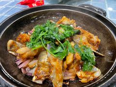 砂锅锔鱼咀-石岐乳鸽村(南海第三分店)