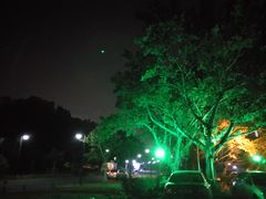 -野狸岛