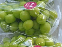 -马陆小张葡萄园农家乐