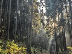 -山王坪喀斯特国家生态公园