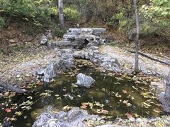 -静之湖湖畔餐厅