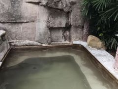-天赐温泉