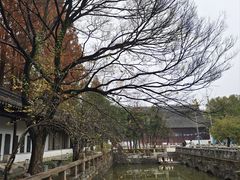 -苏州文庙(姑苏区)