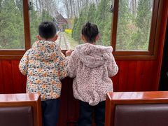 -合肥滨湖国家森林公园