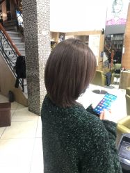 点击看大图 -环球蝶上美业连锁