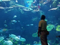 -暹罗海洋世界