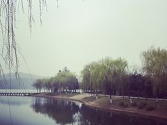 -水上明月·湖景餐厅