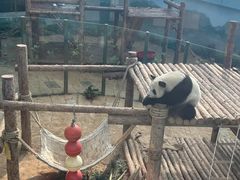 -大连森林动物园