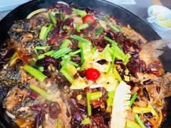 -老板恋上鱼(恒隆广场店)