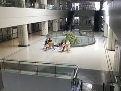 -南方医科大学深圳医院