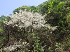 -西安祥峪森林公园