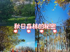 -仁和公园(顺义区)