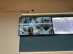 -唐小姐の私宠·宠物洗护美容·撸猫馆·购宠(周浦万达旗舰店)