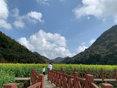 -广州市石门国家森林公园