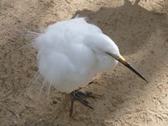 -费瑟代尔野生动物园