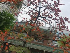 -广州医科大学附属第三医院(荔湾院区)