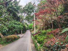 -龙泉洞(沙坪坝区)