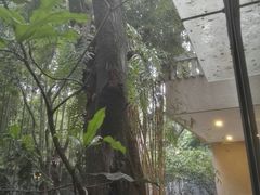-宣和苑(华侨新村店)