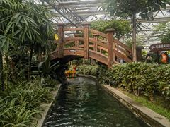 -南宫五洲植物乐园