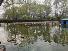 -森林公园(尖草坪区)