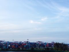 -洋山深水港