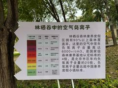 -林栖谷森林康养度假区