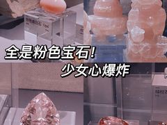 -中国地质博物馆