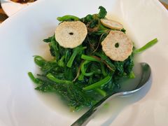 上汤豌豆尖-梧桐