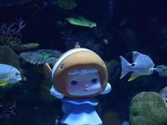 -暹罗海洋世界