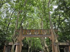 -灵谷景区