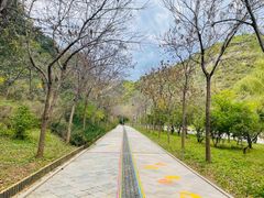 -云蒙山风景区