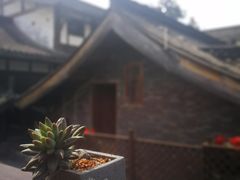 -壹丁咖啡(宽窄巷子店)